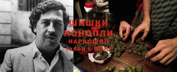 мдпв Нея