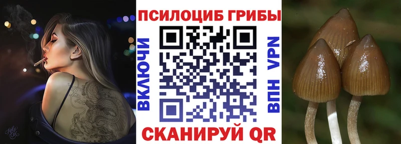 Псилоцибиновые грибы Psilocybine cubensis  Тимашёвск 